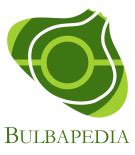 bulbepedia|bulbapedia images.